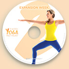 Expansion DVD
