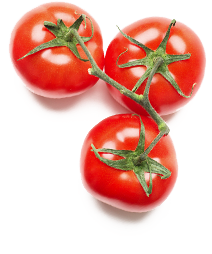 Tomatoes