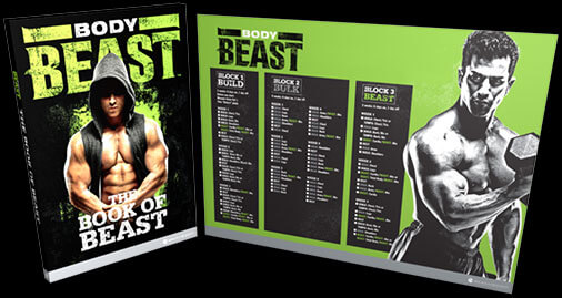 Body Beast Workout Dvds Carve Lean Defined Muscle Burn