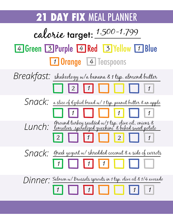 monthly meal planner template pdf calorie tracker