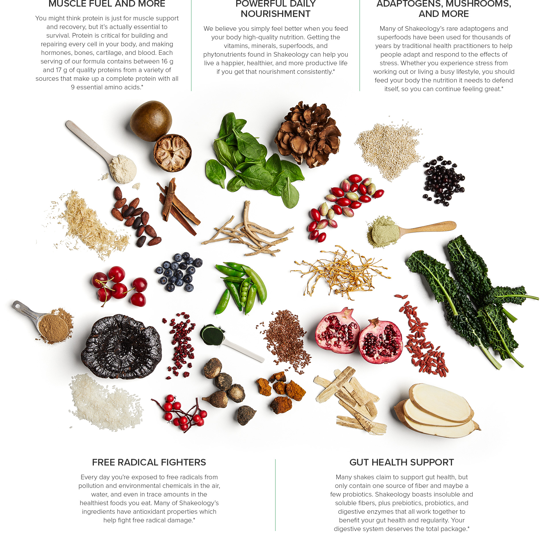 Shakeology Ingredient Chart