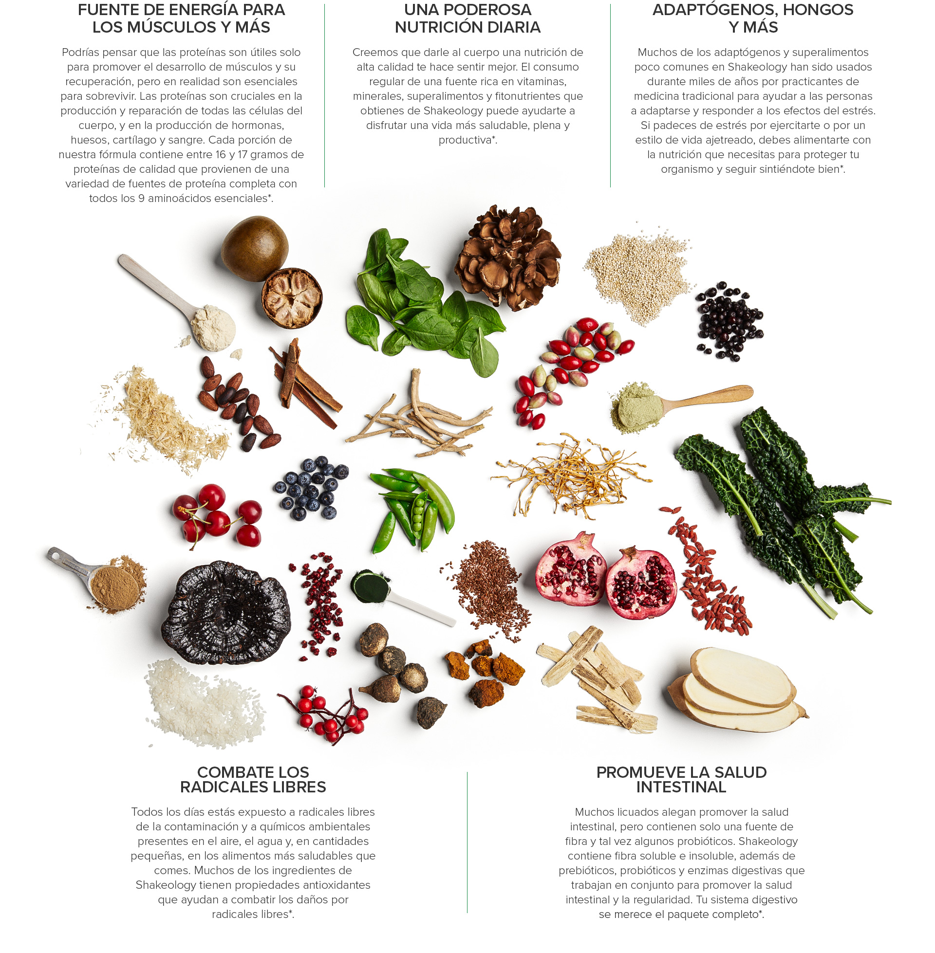 ¿Qué nutrición diaria necesito?
